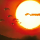 Illustration for article titled Battle: Los Angeles is the movie Michael Bay only wishes he could make